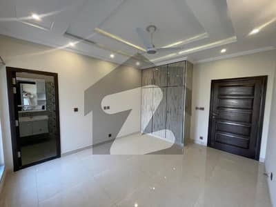 طارق