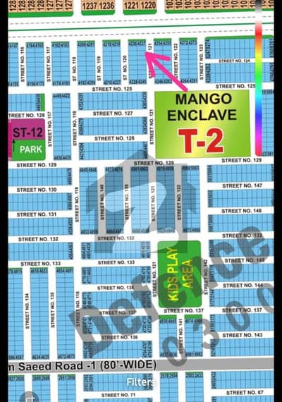 Sector