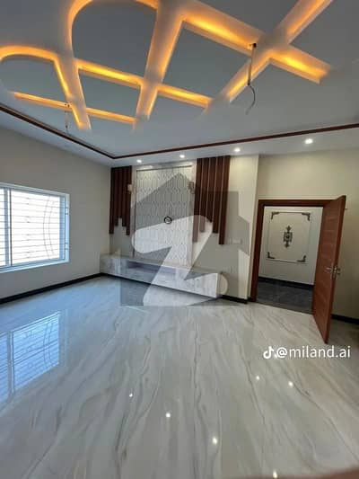 جناح