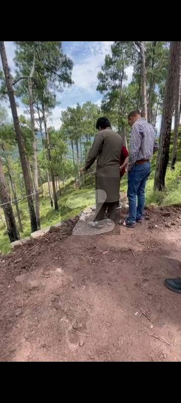 3 Marla Plot In New Murree 3 Marla Plot In New Murree