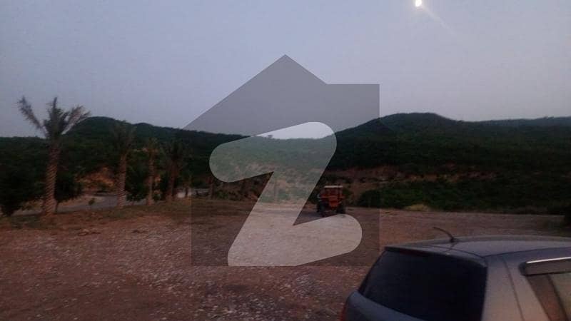 37 