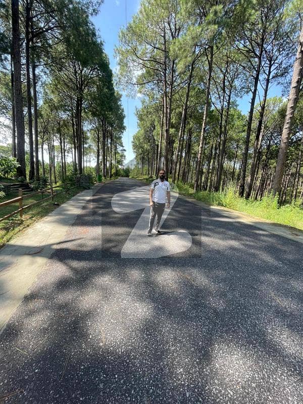 پتریاٹہ نیو مری,مری میں 4 مرلہ رہائشی پلاٹ 10.0 لاکھ میں برائے فروخت۔ پتریاٹہ نیو مری,مری میں 4 مرلہ رہائشی پلاٹ 10.0 لاکھ میں برائے فروخت۔