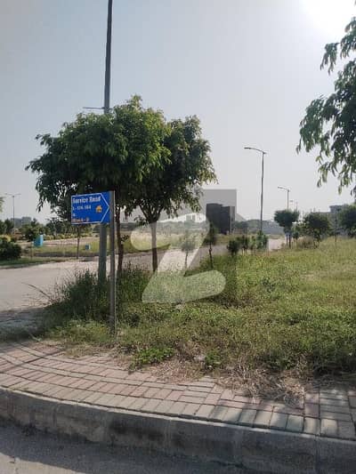 شالیمار