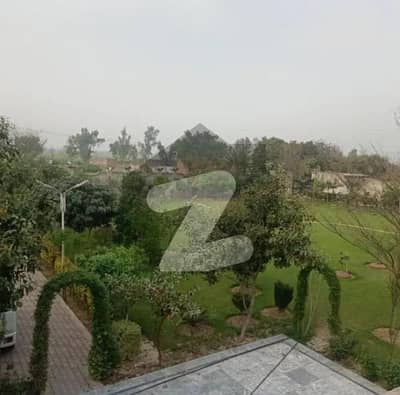 ڈی