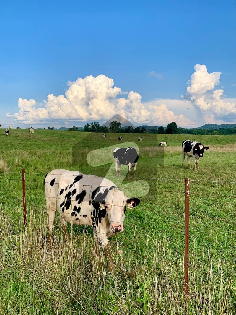 پسنی گوادر میں 160 کنال زرعی زمین 40.0 لاکھ میں برائے فروخت۔ پسنی گوادر میں 160 کنال زرعی زمین 40.0 لاکھ میں برائے فروخت۔