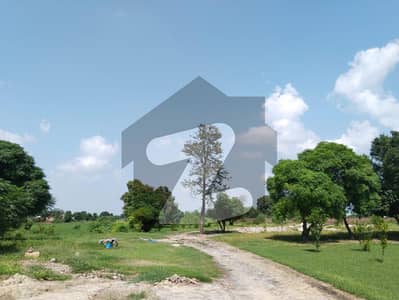 Residential Plot for Sale Near Gwadar International Airport & Cantt Residential Plot for Sale Near Gwadar International Airport & Cantt