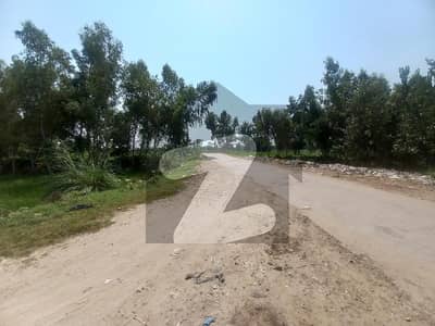 رائیونڈ