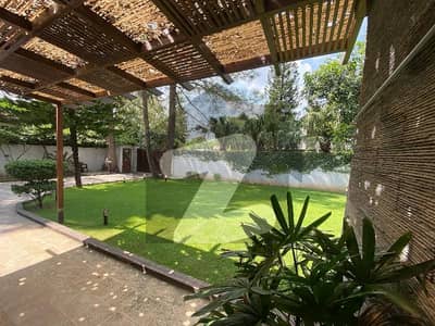 Newly Renovated House Available For Rent