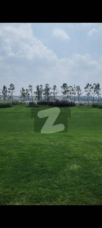 DHA-5 Urgent Plot For Sale