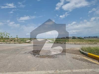 Top Hight Location In Dha 6 Sector B3 Street 79 Plot 10 Plot For Sale