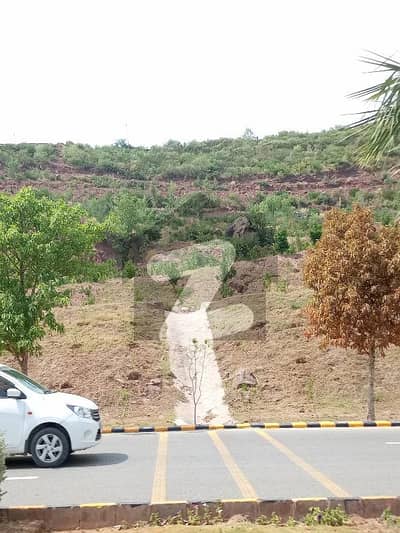PARK