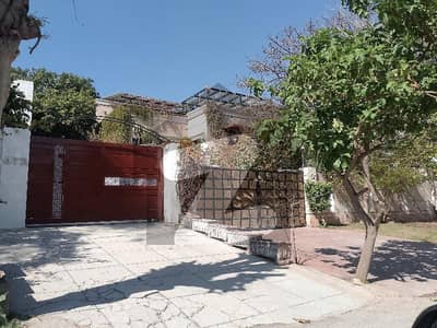 ایف