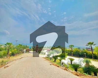 Get In Touch Now To Buy A 5 Marla Residential Plot In   Royal City
