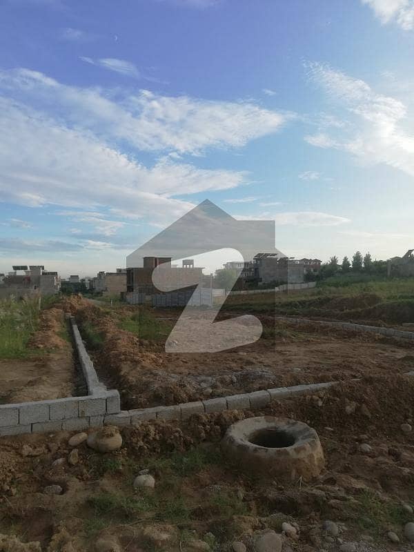 7 Marla Plot for sale 7 Marla Plot for sale