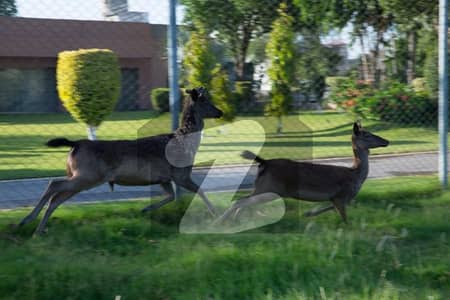 You Can Find A Gorgeous Prime Location Residential Plot For sale In Park View City - Tulip Extension Block You Can Find A Gorgeous Prime Location Residential Plot For sale In Park View City - Tulip Extension Block