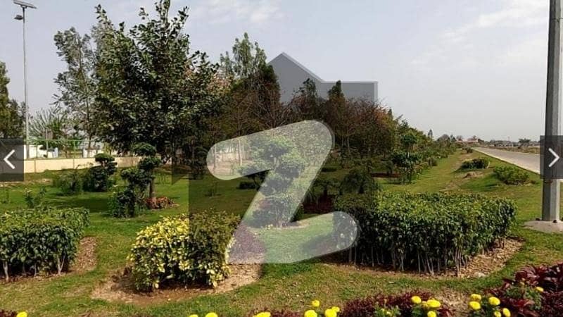 K Block 10 Marla Onground Plot