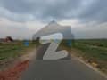 26 