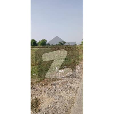 بیدیاں
