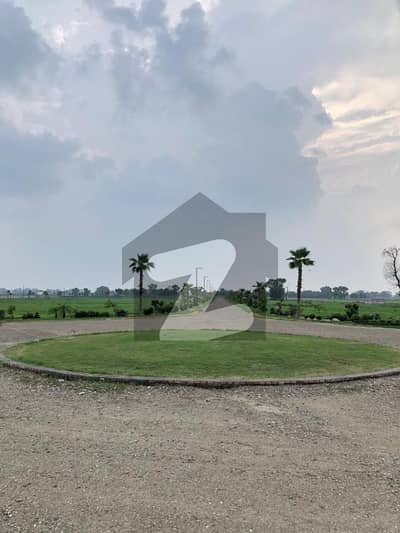 نذیر