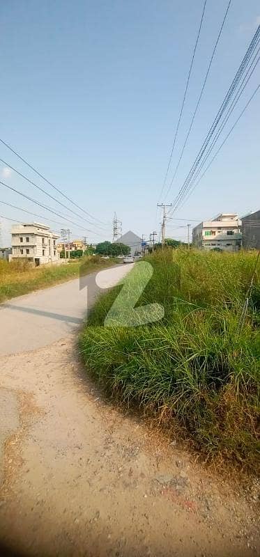 DOUBLE RD BACK IDEAL OPTION DOUBLE RD BACK IDEAL OPTION