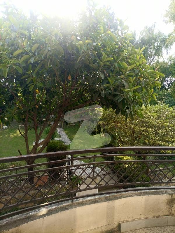 Ground Portion Available For Rent In F11 Ground Portion Available For Rent In F11