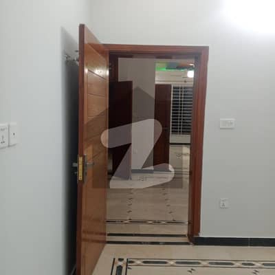 جناح