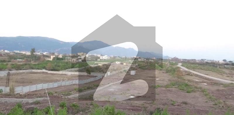 500 Square Yards Residential Plot In C-15 Is Available