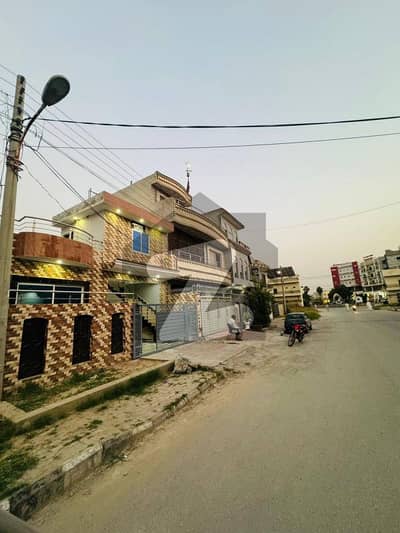 نیو