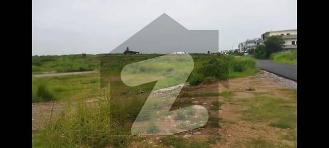 جناح