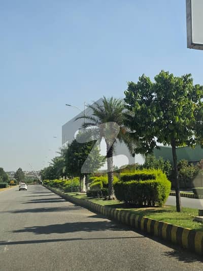 Gulberg