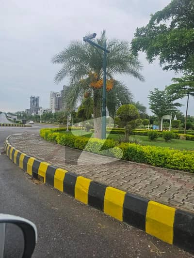 Gulberg