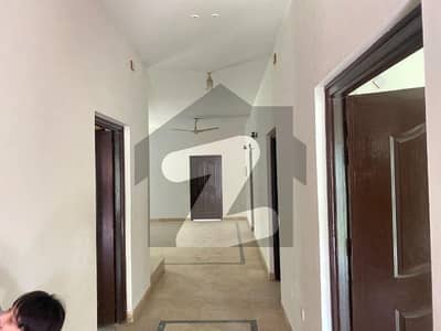 WELL MAINTAIN 500 SQ YDS AIR FORCE