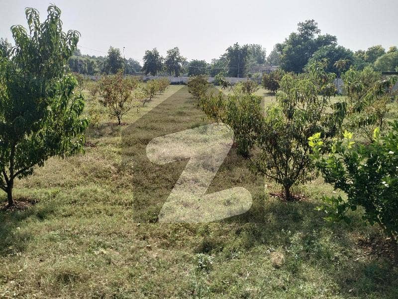 22 Kanal Farm House Land For Sale Tarlai Farms 22 Kanal Farm House Land For Sale Tarlai Farms