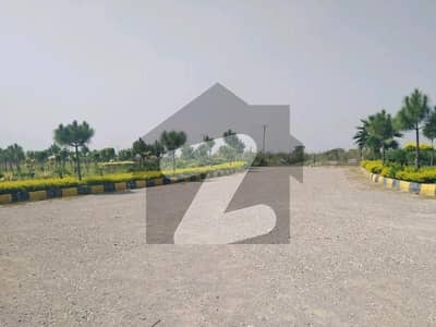 تاج
