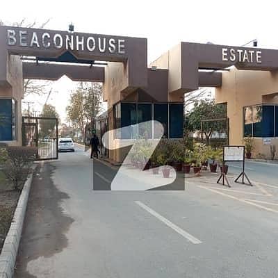 بیکن
