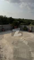 20 