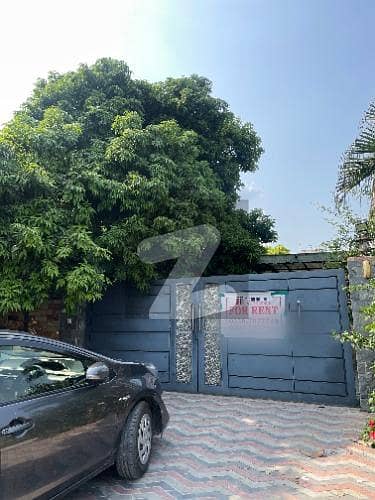 1 Kanal Single Storey House For Rent