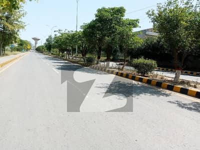 جناح