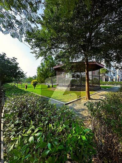 5 Marla Residential Plot As Per Your Budget For Construction Or Investment