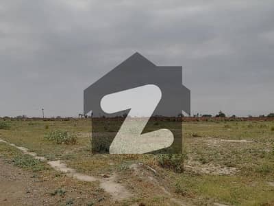 برکی