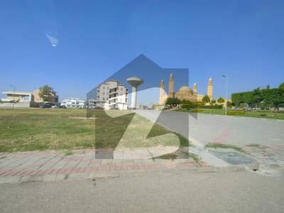 تاج