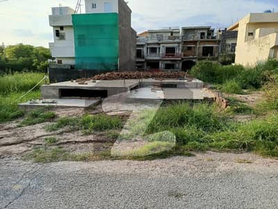 Soan Garden H block size 31x65