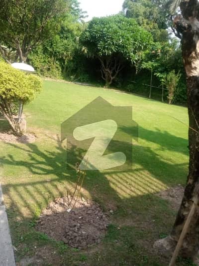 Full House for rent in F-6 Islamabad
