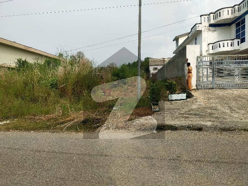 2 Kanal Whare House For Rent