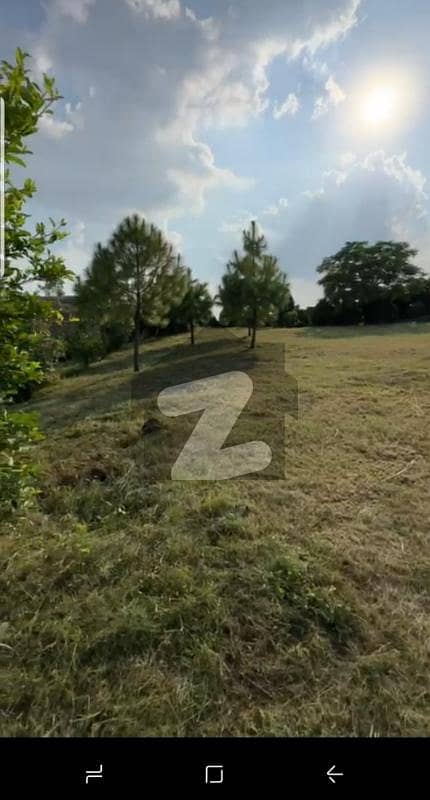 کُری اسلام آباد میں 9 کنال فارم ہاؤس 11.75 کروڑ میں برائے فروخت۔ کُری اسلام آباد میں 9 کنال فارم ہاؤس 11.75 کروڑ میں برائے فروخت۔