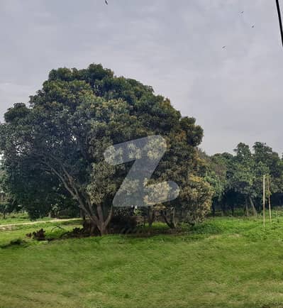 16 Marla Plot For Sale On Aziz Shaheed Road, Direct Deal With Owner, No Agents Involved.