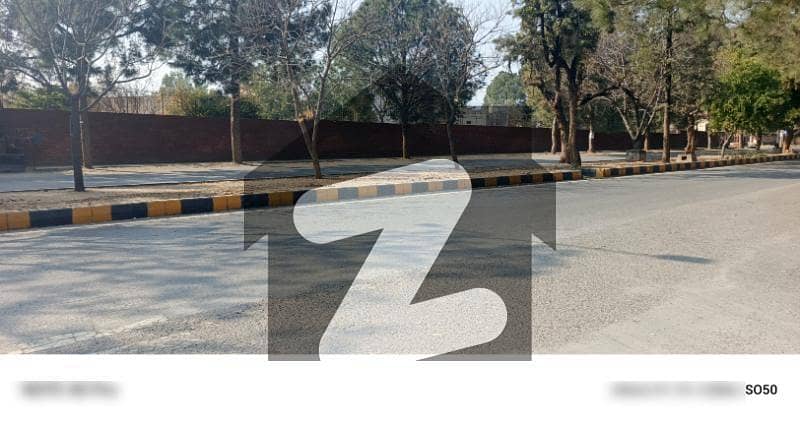 500 Square Yard Plot For Sale Beautiful Location 500 Square Yard Plot For Sale Beautiful Location