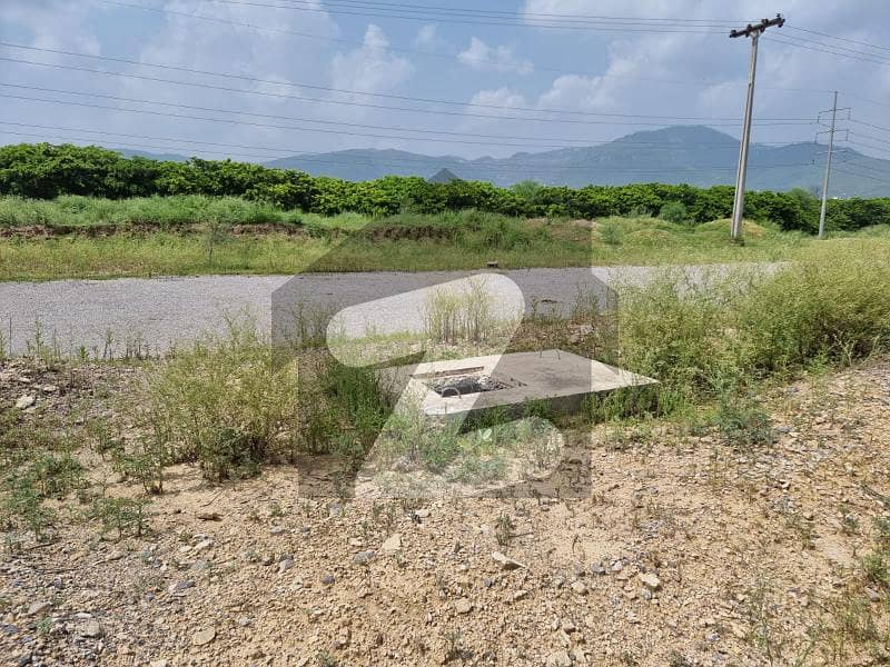 Plot Is Available For Sale (40x80)