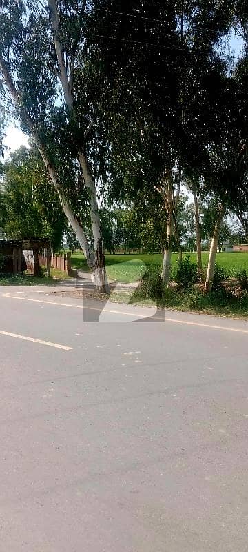 Brown Area Land Brown Area Land