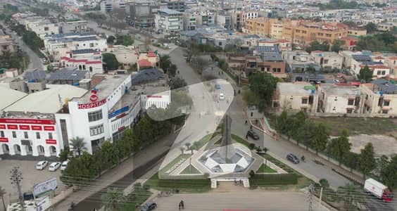 پیراگون